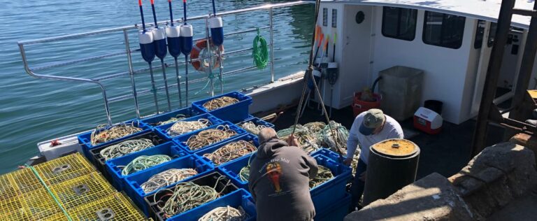 headerslider5 (1217 × 500 px)