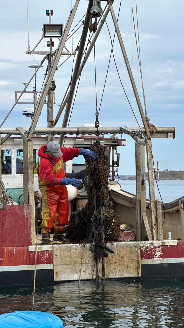 A413C264-501F-4310-91E6-2837BC1FAE59